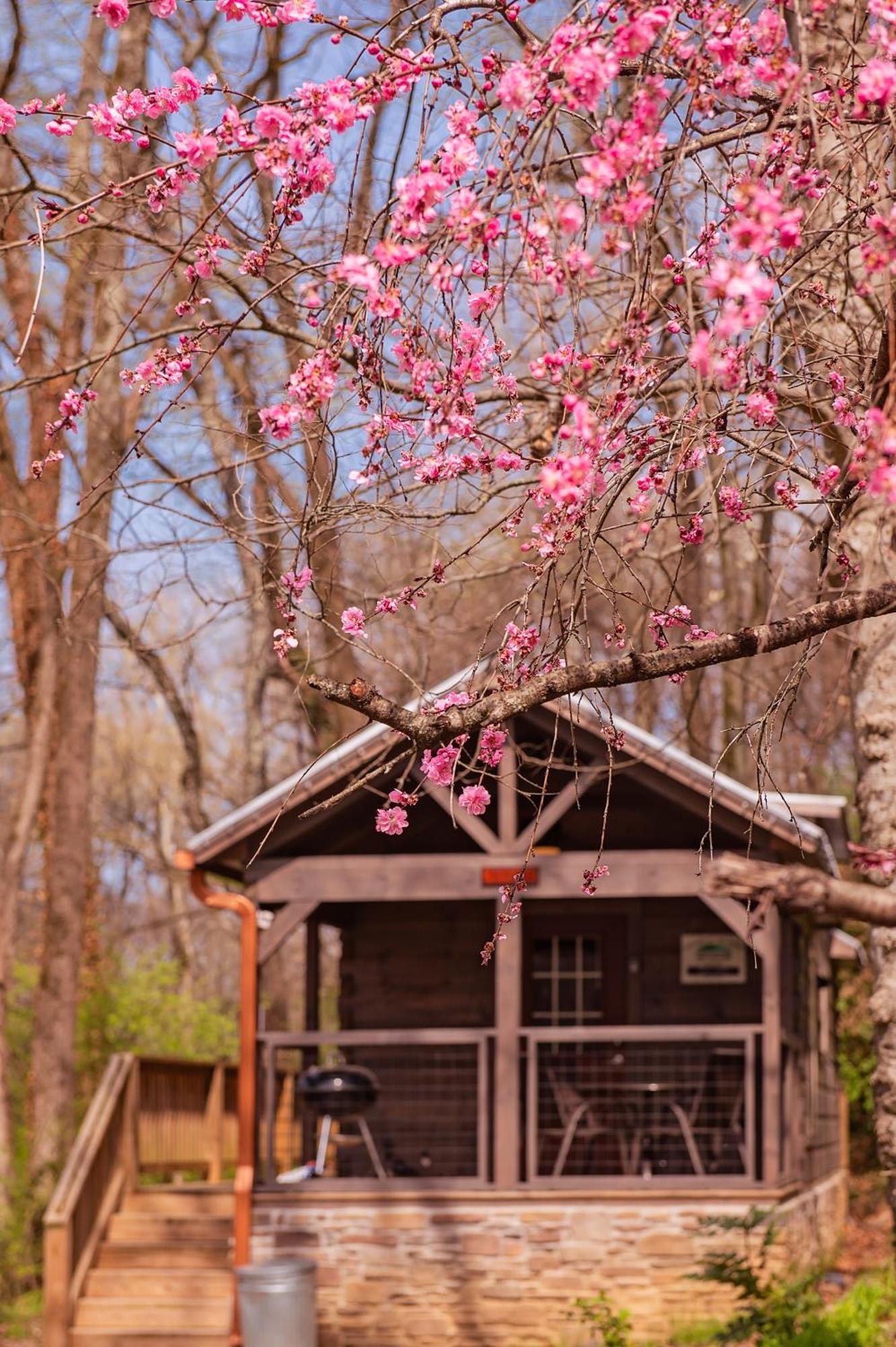 Ryon Tiny City-side Rustic Retreat Hébergement de vacances *