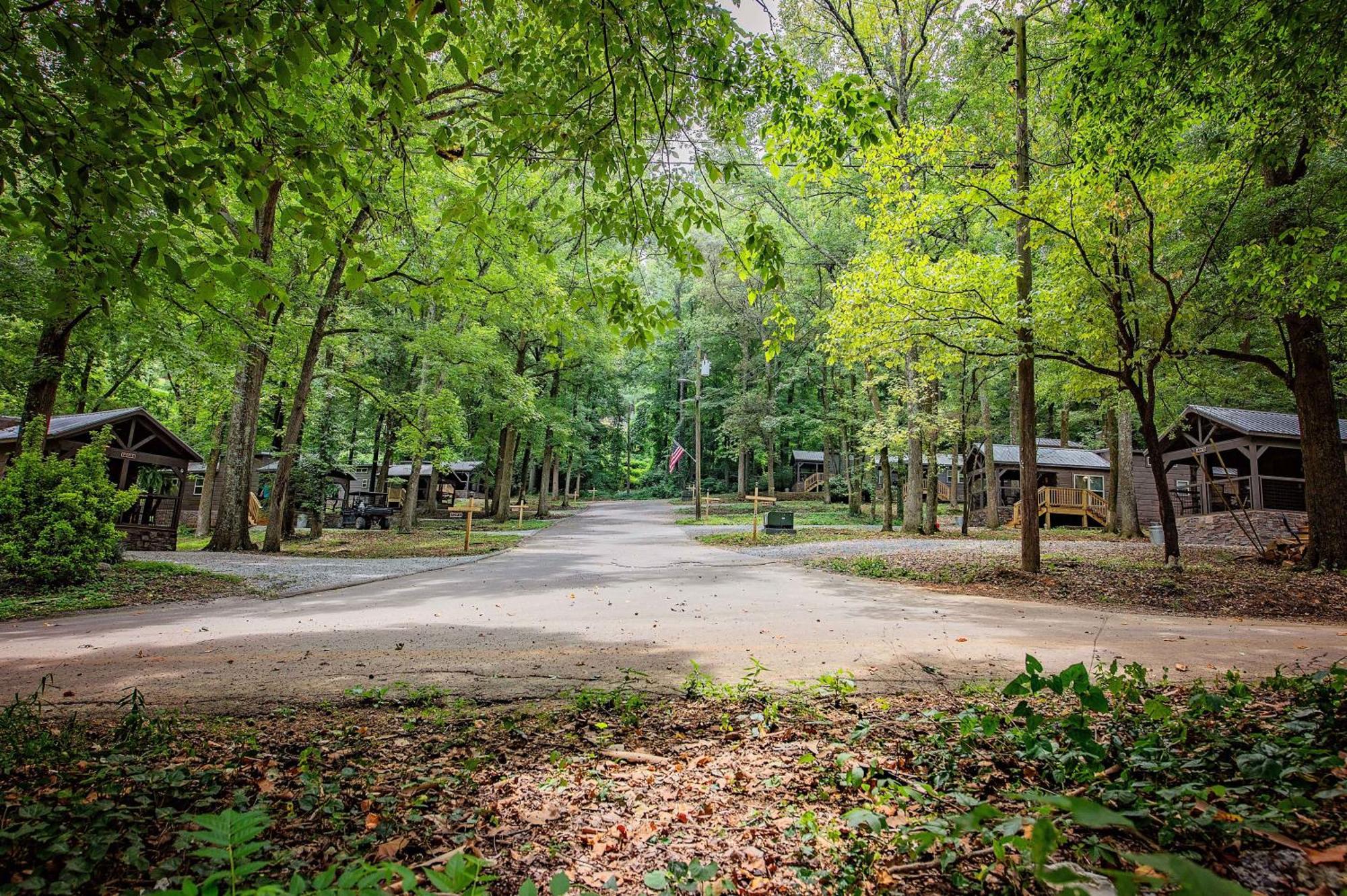 Ryon Tiny City-side Rustic Retreat